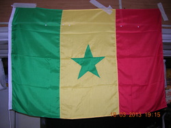 La Comunità Senegalese con l'UNICEF per il SENEGAL